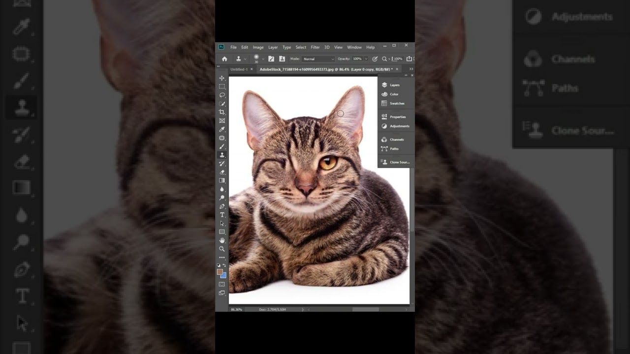 Secret of Reverse Clone Stamp 