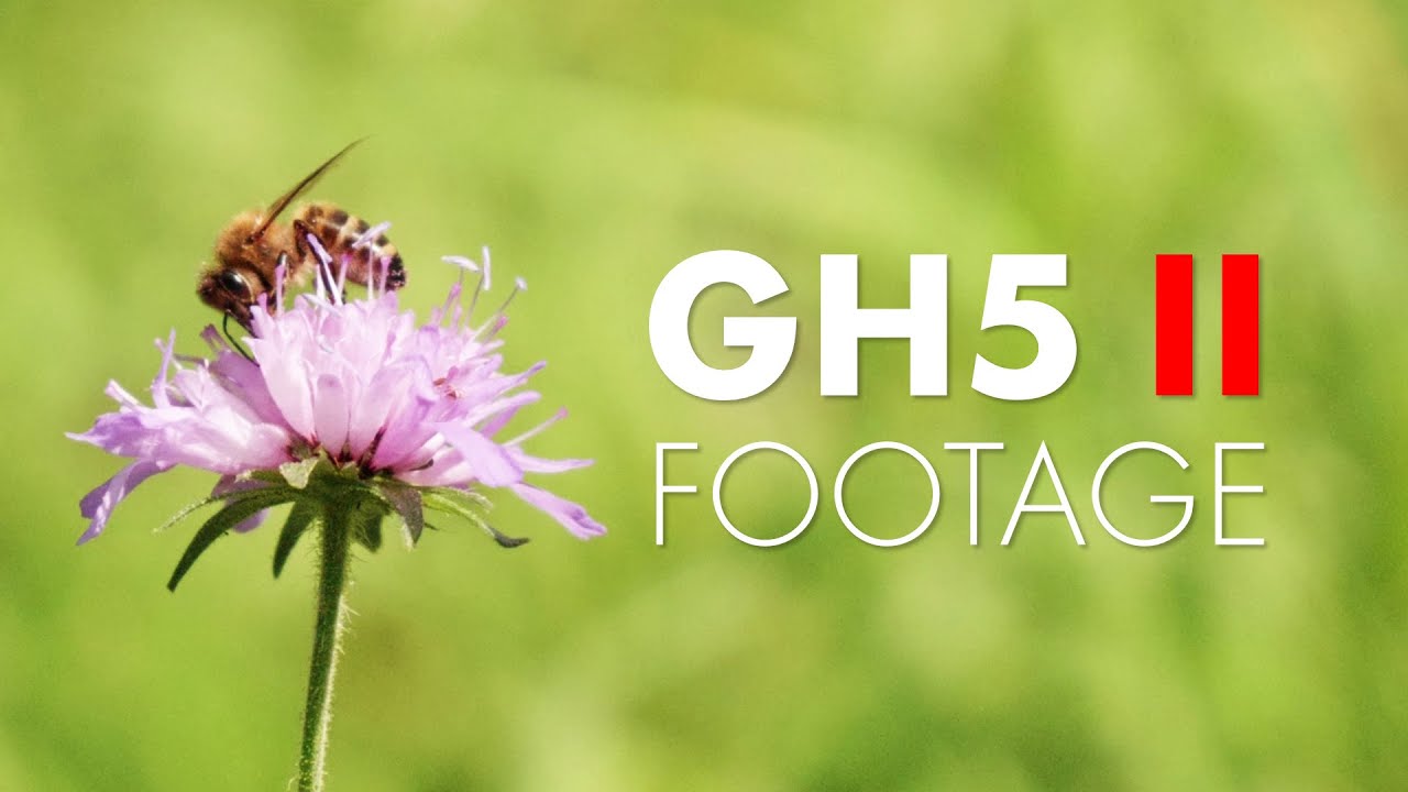 Panasonic Lumix GH5 II - My first day -  Ultrawide 4K Test footage