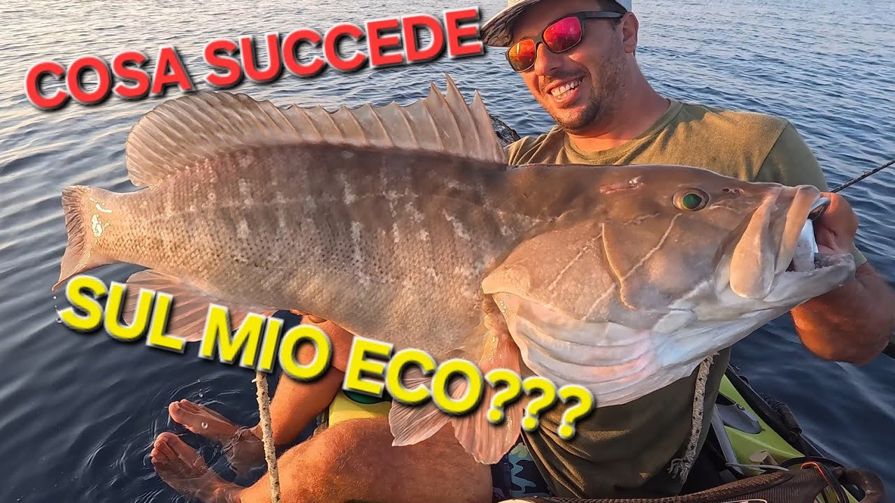 COSA SUCCEDE SUL MIO ECOSCANDAGLIO? Ecco i 