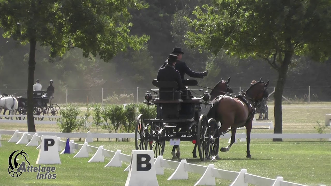 Pieter VAN DEN BROECK   Bel   Dressage   FEI DPWC KISBER 2019