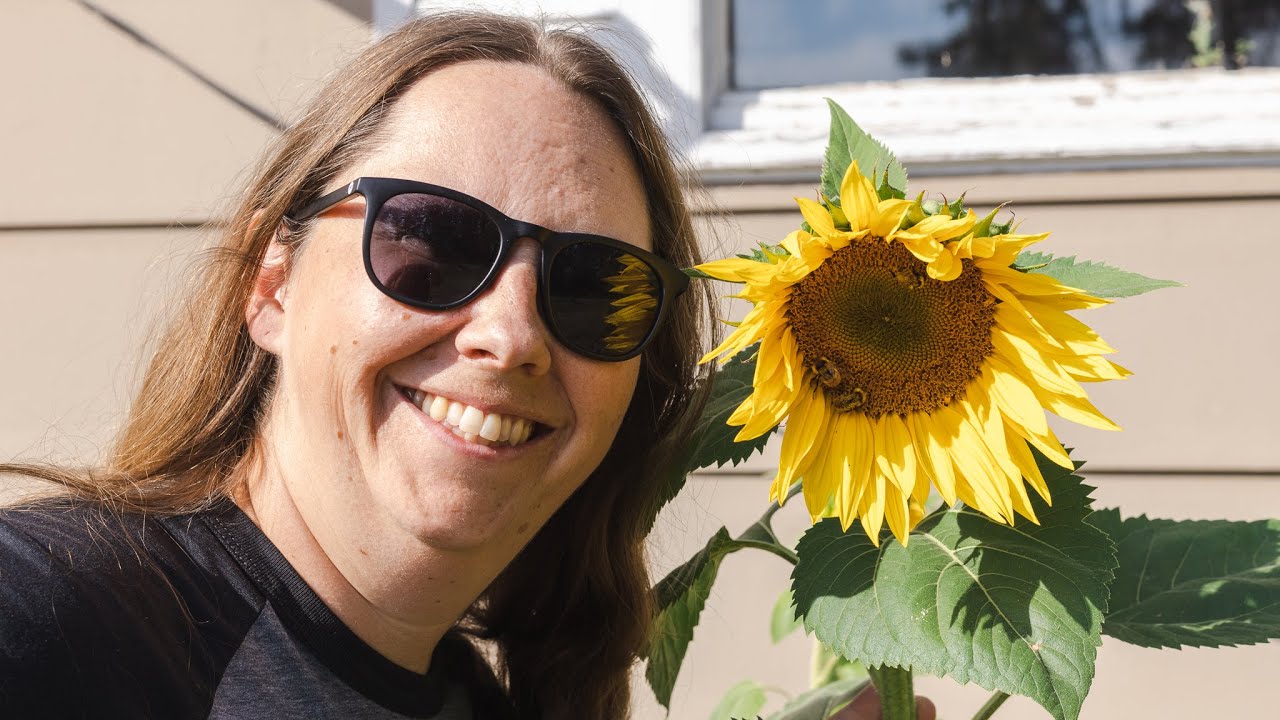 Sunflower - Did you know you can even EAT the LEAVES?!