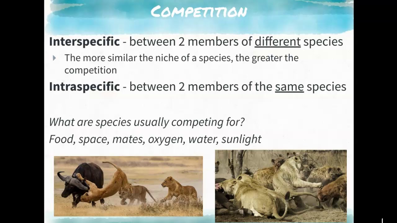 Predator Avoidance to Succession
