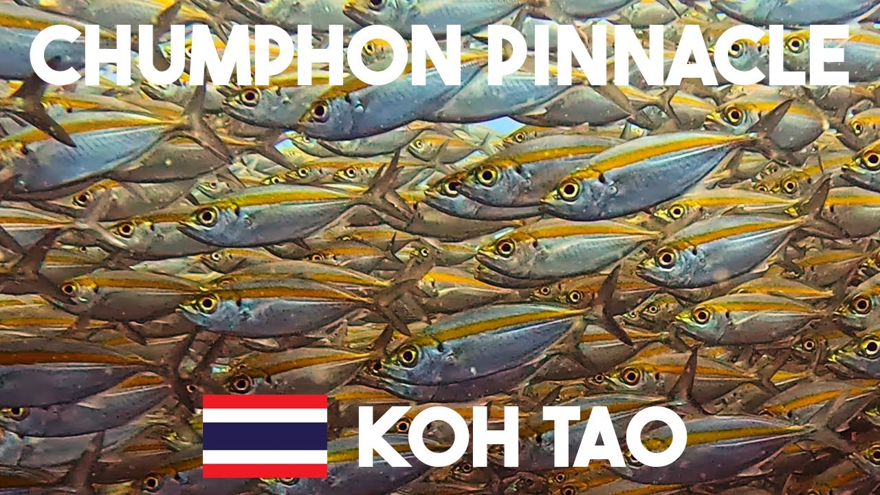 Chumphon Pinnacle, Koh Tao, Thailand