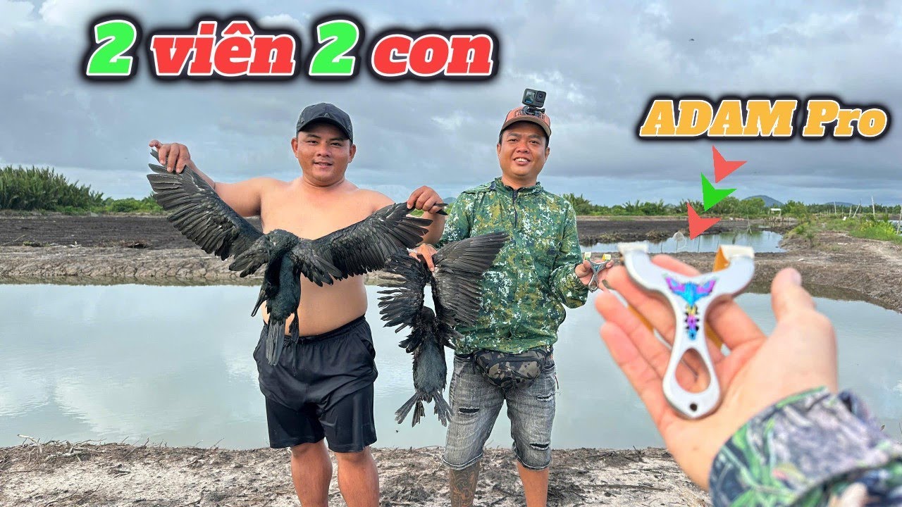 Dùng ná cao su ADam pro kết hợp thun ADam Pro hạ khủng lồ bay liên tục | Đảm Nguyễn