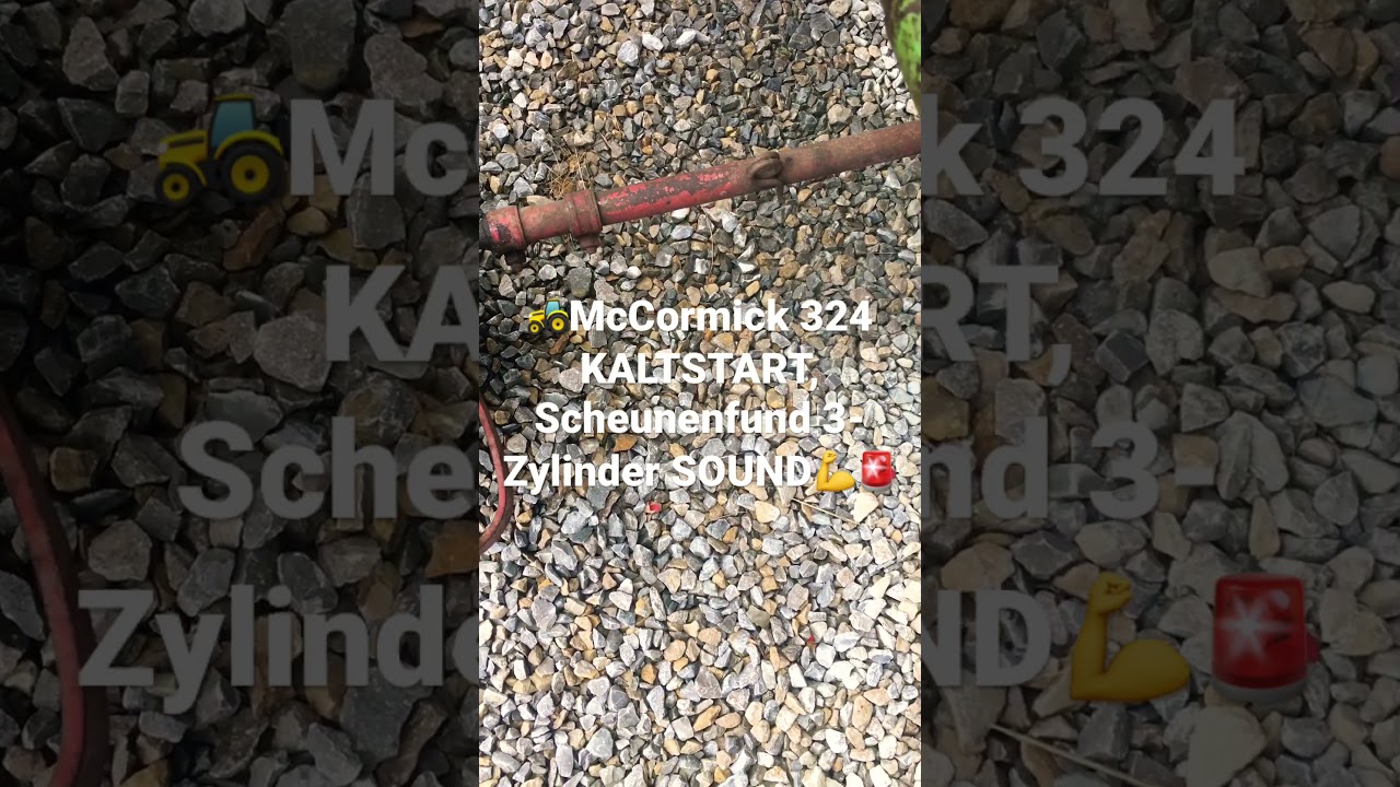 Sound👌Mc Cormick D324 3-Zylinder Vorglühen Kaltstart Scheunenfund cold start engine