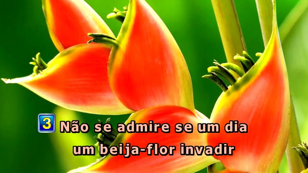 Videokê - Ai Que Saudade De Ocê - Elba Ramalho - 4062