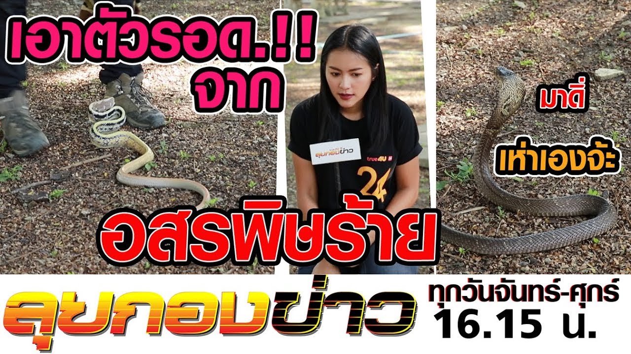 ลุยกองข่าว2019 #220 เอาตัวรอดจากงู กับ อสรพิษวิทยา