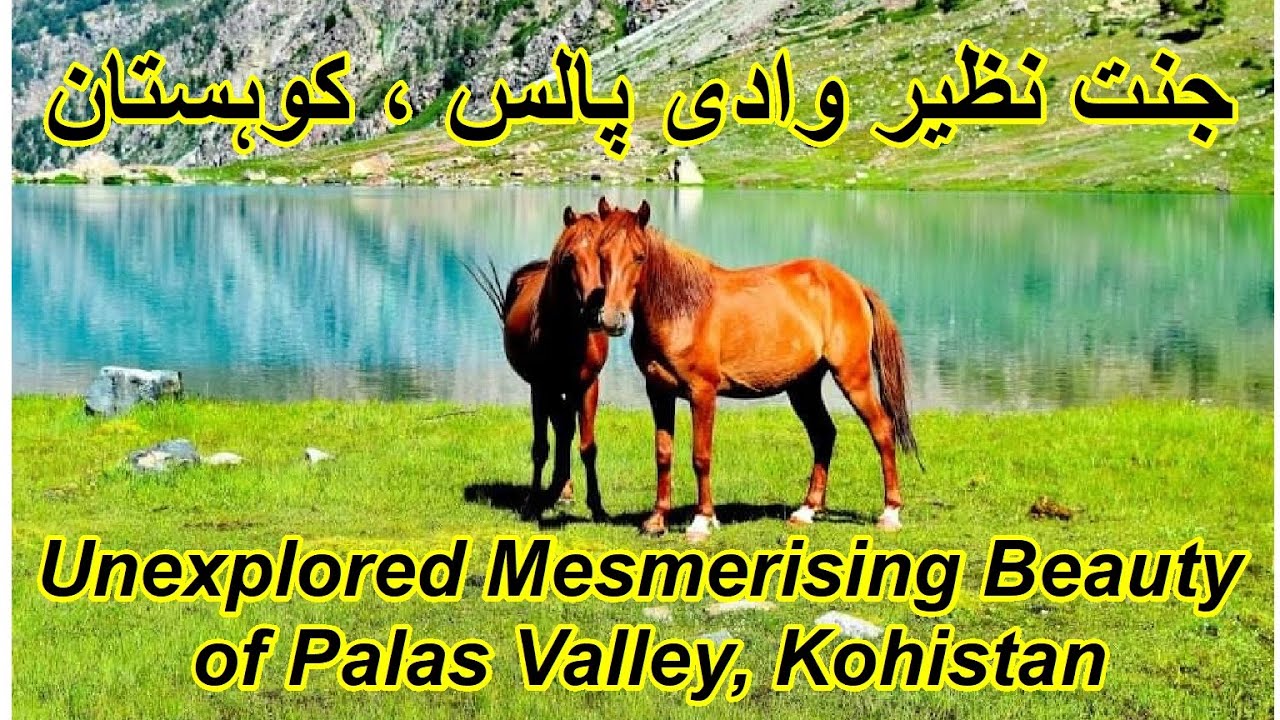 Palas Valley Kohistan  | Pattan | Kolai-Palas | Indus Kohistan | Kpk | Wanipedia Pakistan