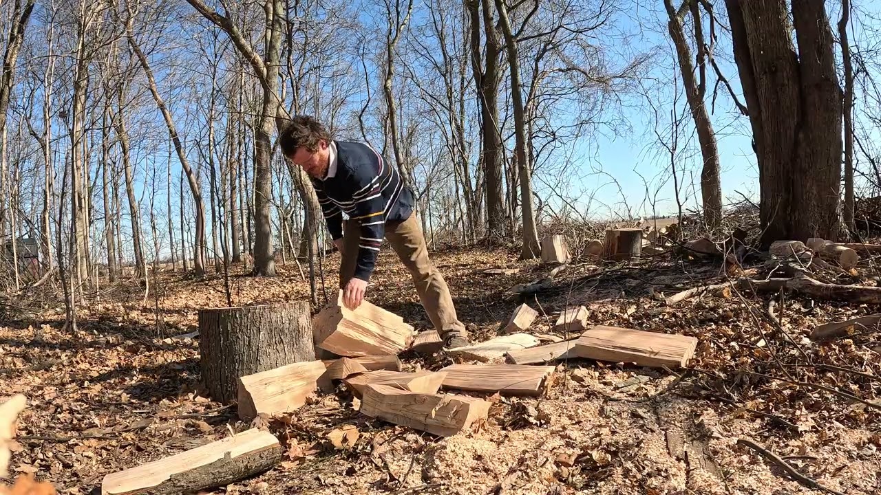 Daily Firewood: day 35