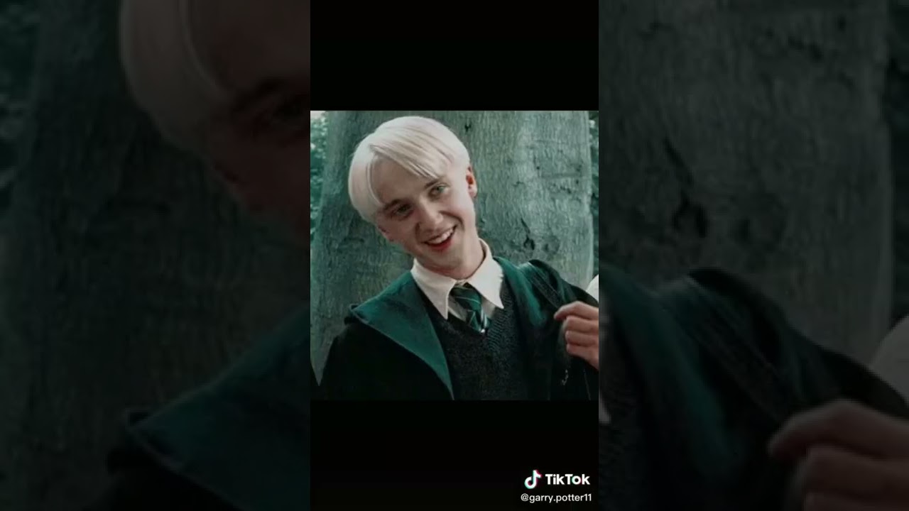 ГАРРИ ПОТТЕР ЗАХВАТИЛ ТИК ТОК! 11 часть