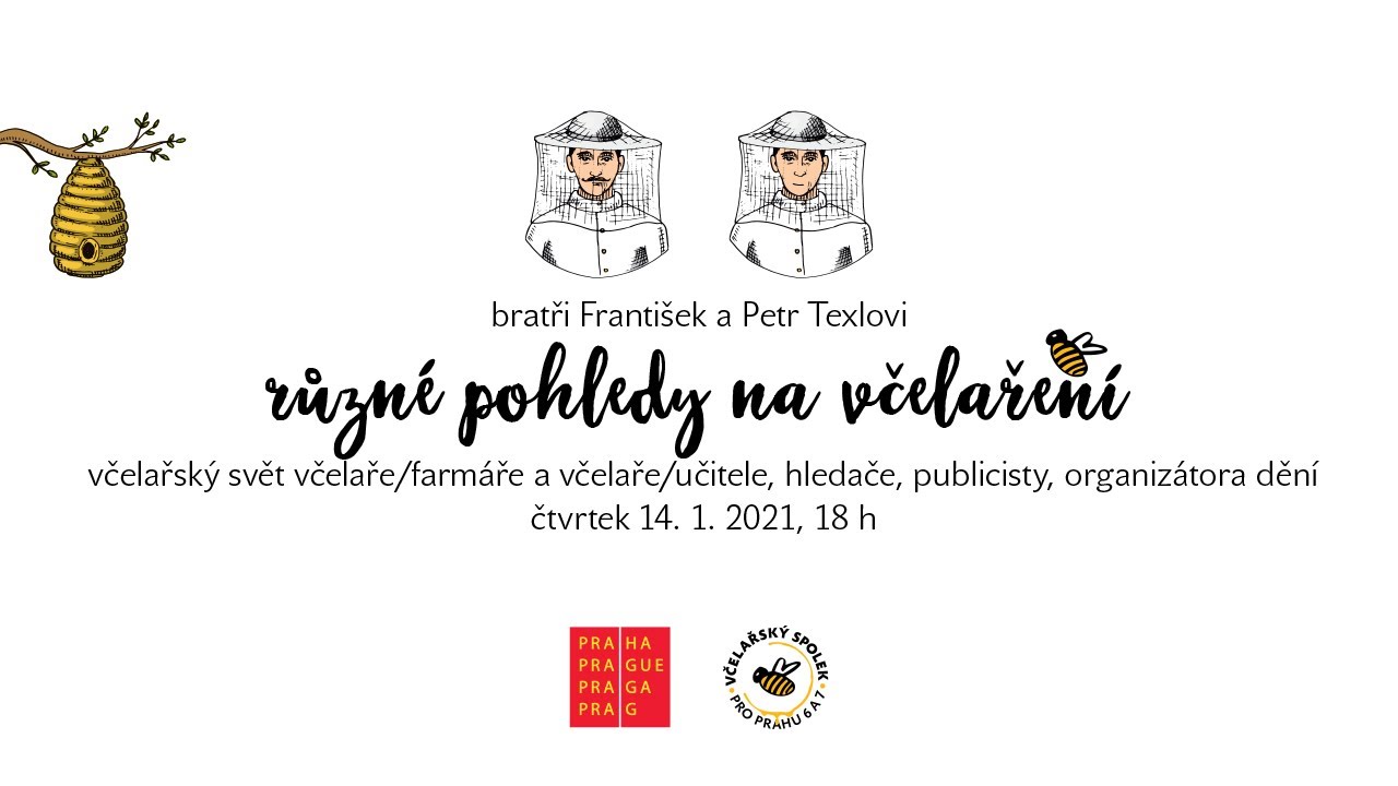 BRATŘI FRANTI&Scaron;EK A PETR TEXLOVI - RŮZN&Eacute; POHLEDY NA VČELAŘEN&Iacute;