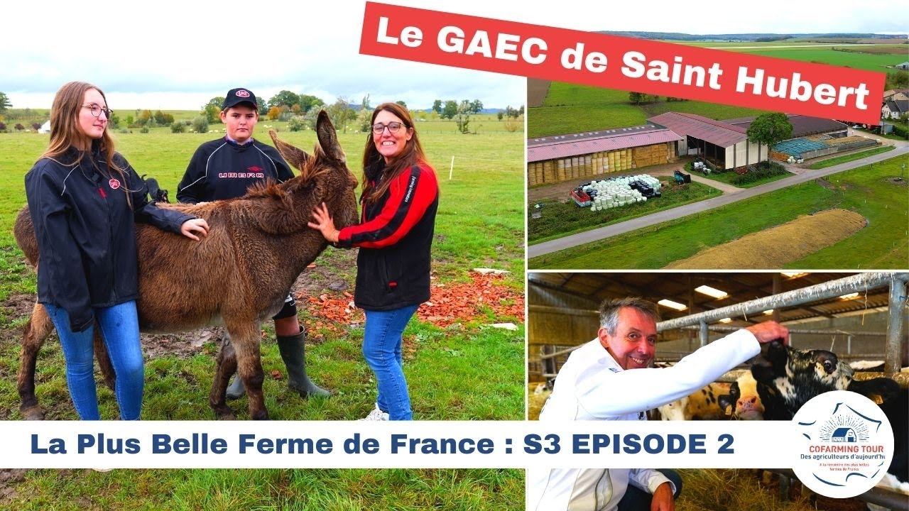 Le GAEC Saint Hubert 🇫🇷 LA PLUS BELLE FERME DE FRANCE