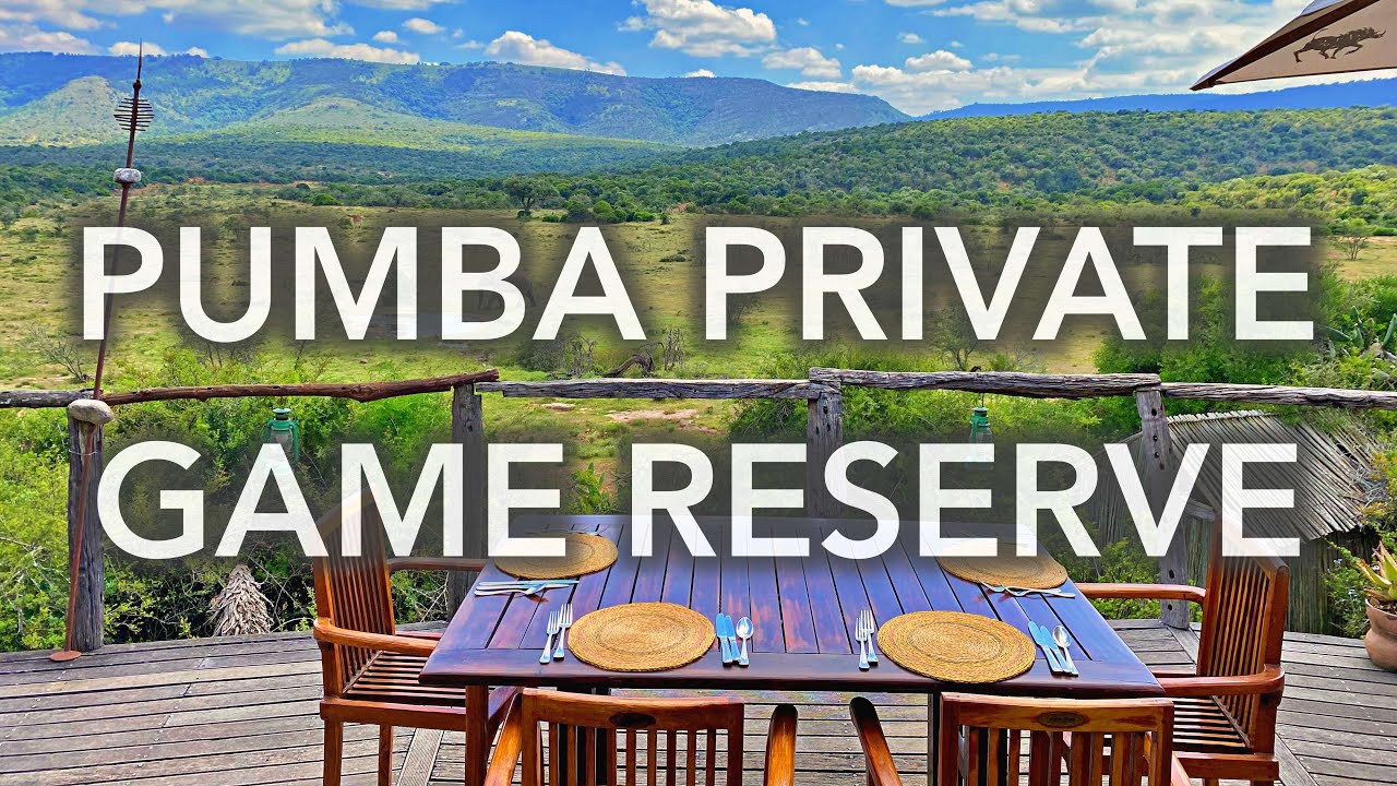Pumba Private Game Reserve - 4K video tour of the home to the rare white lion