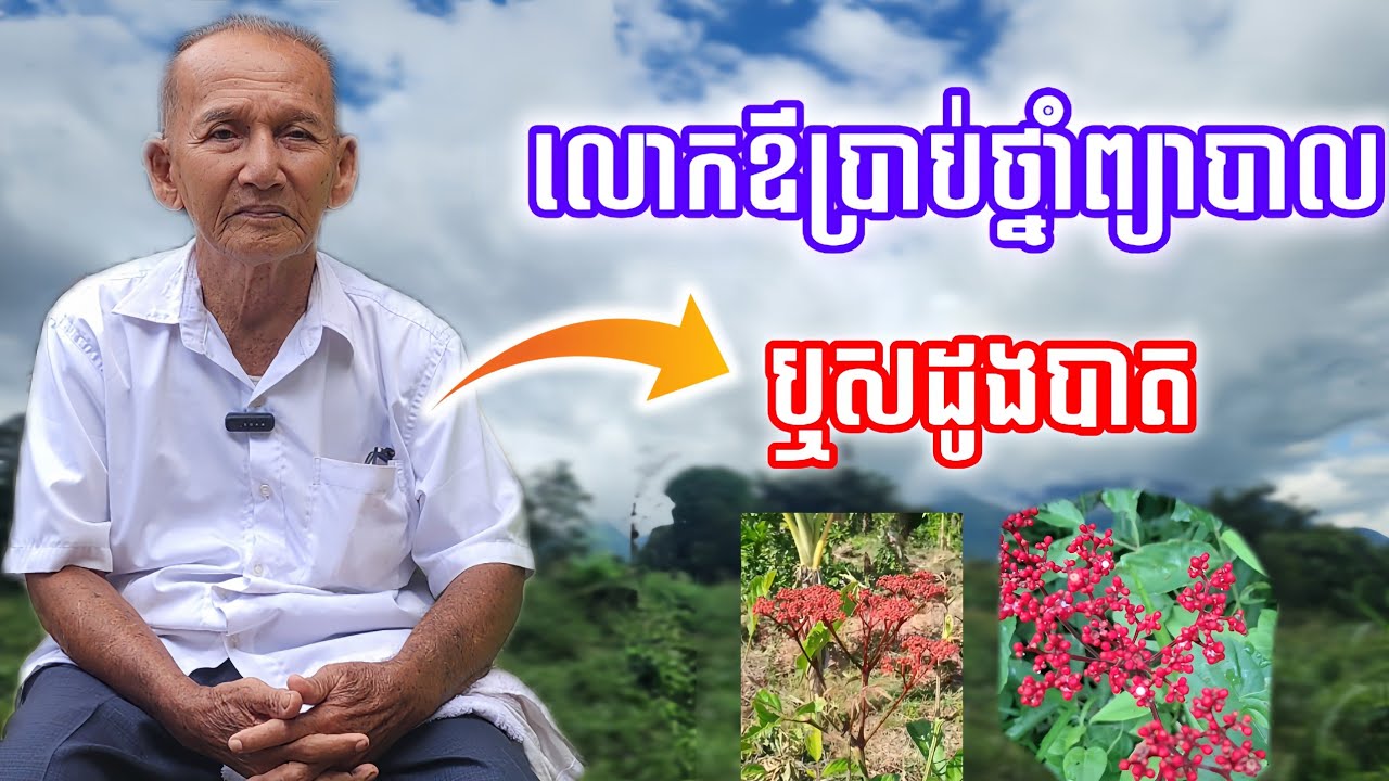 លោកឪប្រាប់ថ្នាំព្យាបាលឬសដូងបាត 