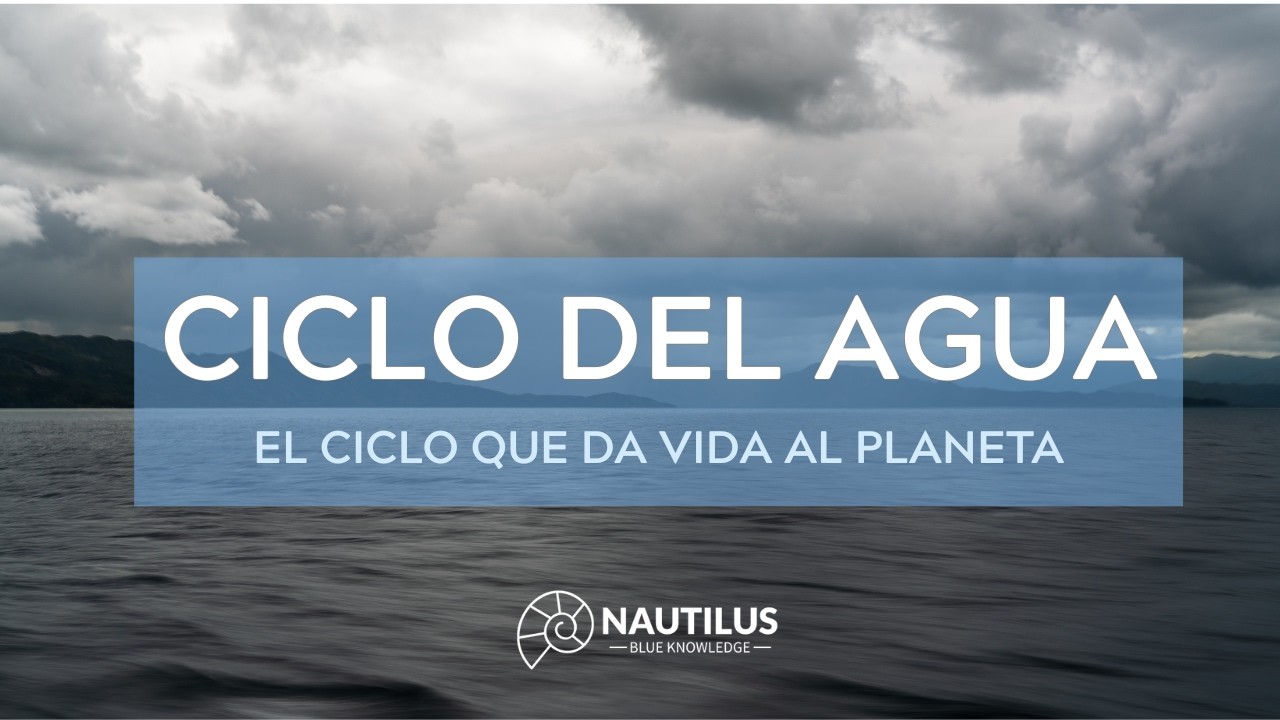 El ciclo del Agua: del cielo al mar