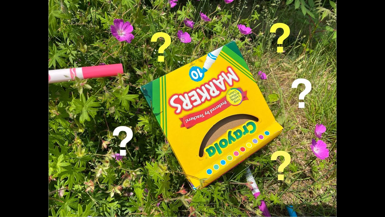 CRAYOLA MARKERS🖍CAN YOU FIND THE HIDDEN MARKERS?🖍