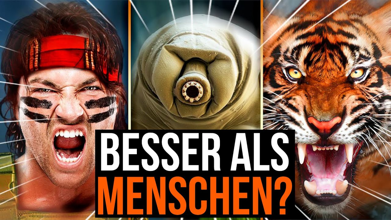 Worin Tiere uns überlegen sind.