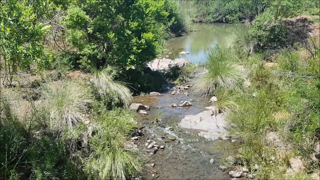 Exploring Faerie Glen Nature Reserve, Pretoria✔
