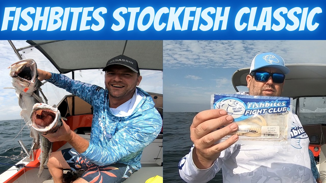 Fishbites Stockfish Classic (День 1)