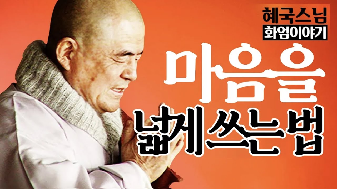 법문🙏|#혜국스님| 마음을 넓게 쓰는 열가지 방법 #화엄이야기 (9회)