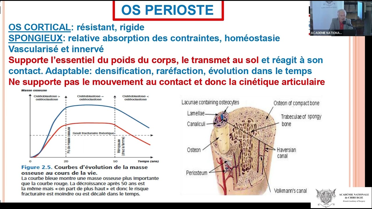 02 Analyse biomécanique de la marche et de l'arthrose du genou