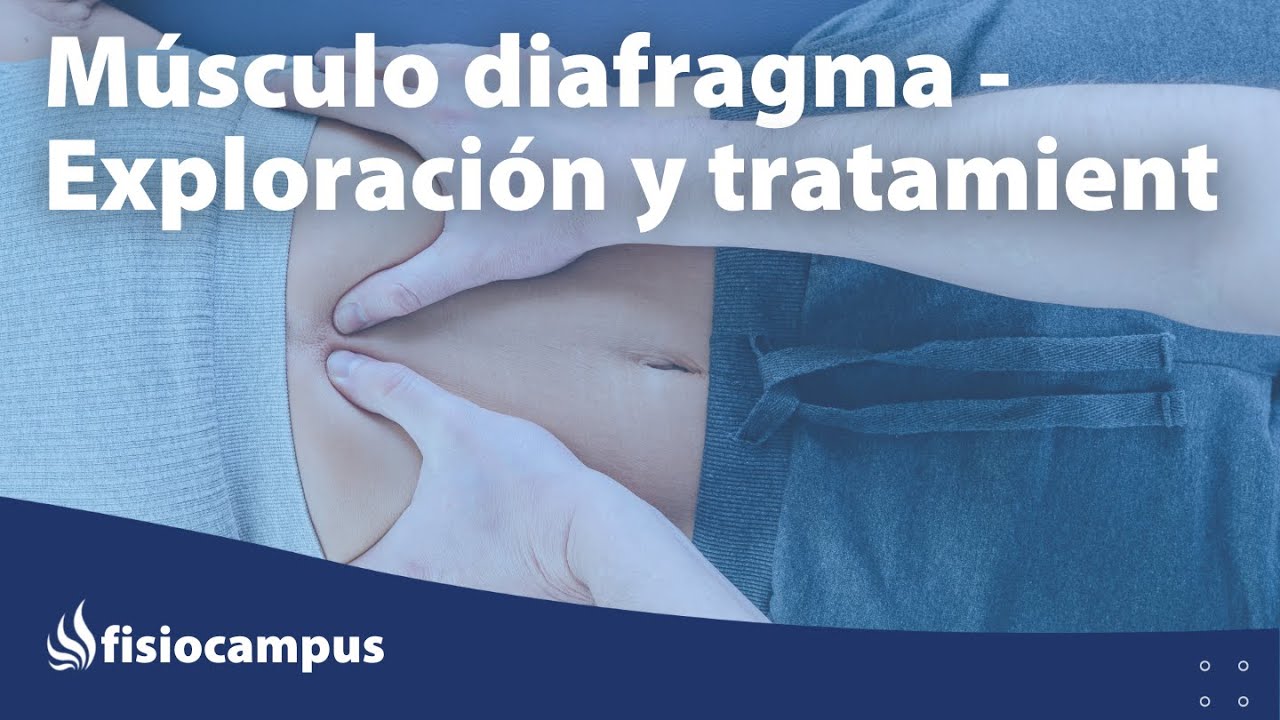 Músculo diafragma - Exploración y tratamiento