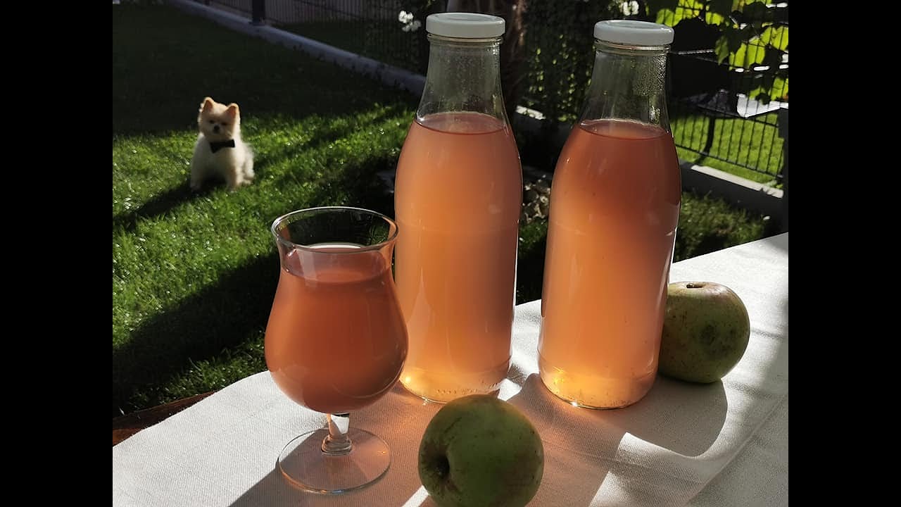 Leckeren Saft aus Obst und Fr&uuml;chten selber kochen. Haltbar, einfach und fruchtig