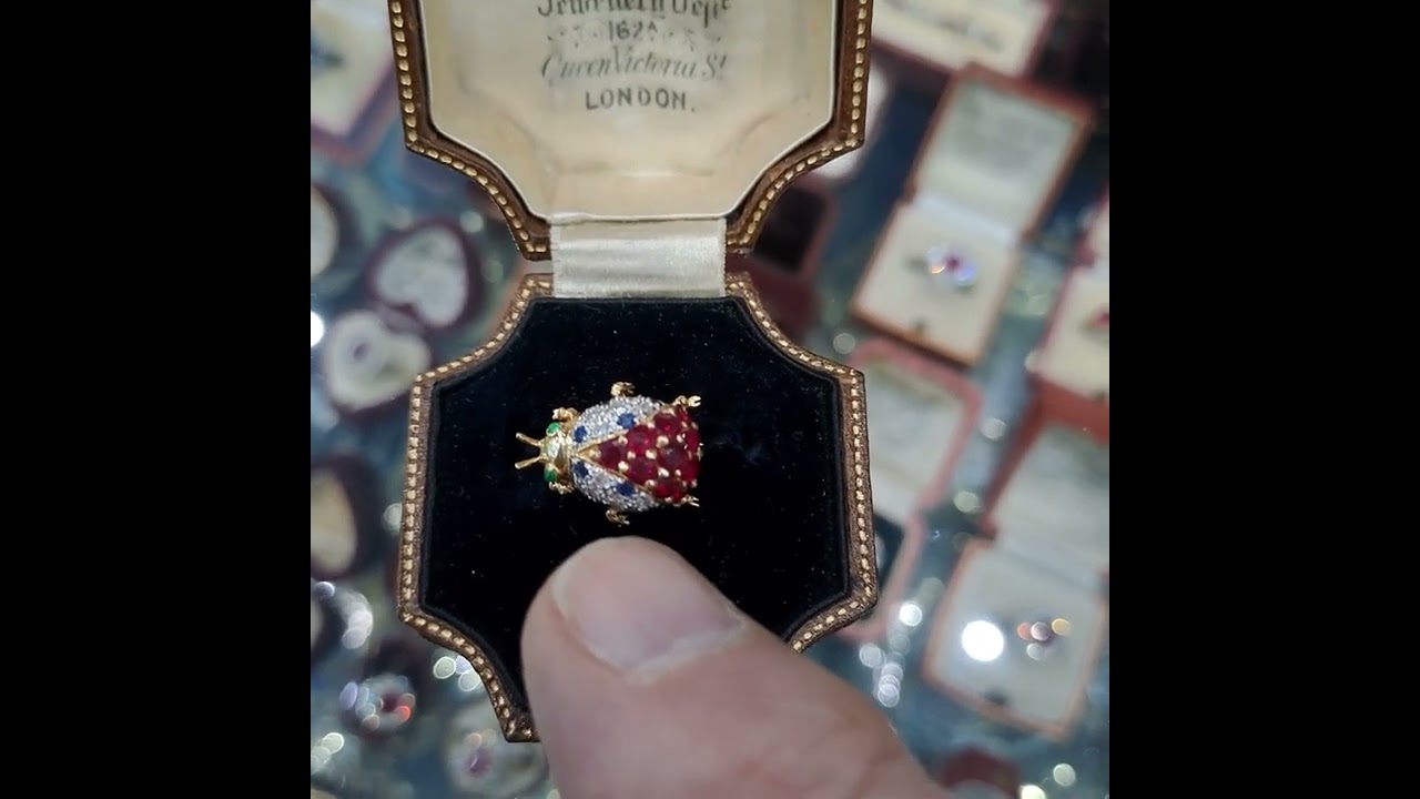 BH120 A rarely seen ladybird bug brooch