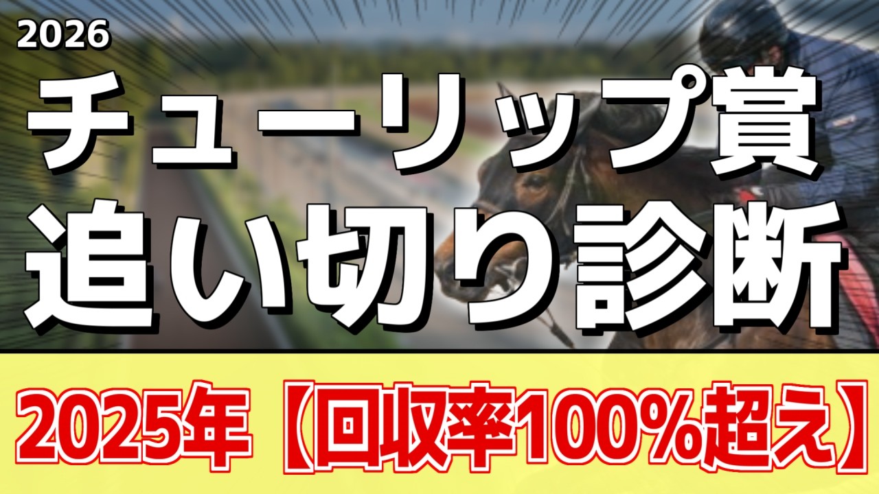 追い切り徹底解説！【チューリップ賞2026】アランカール、タイセイボーグなどの状態はどうか？調教S評価は2頭！
