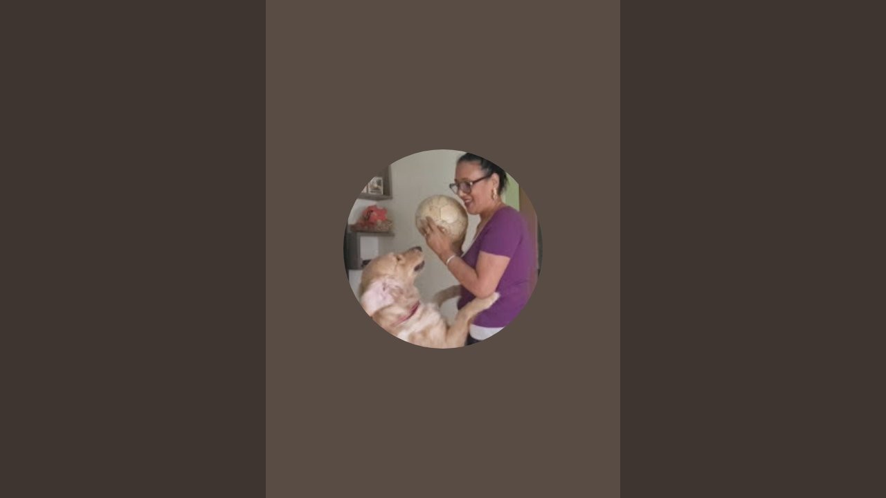 queen maple is live
