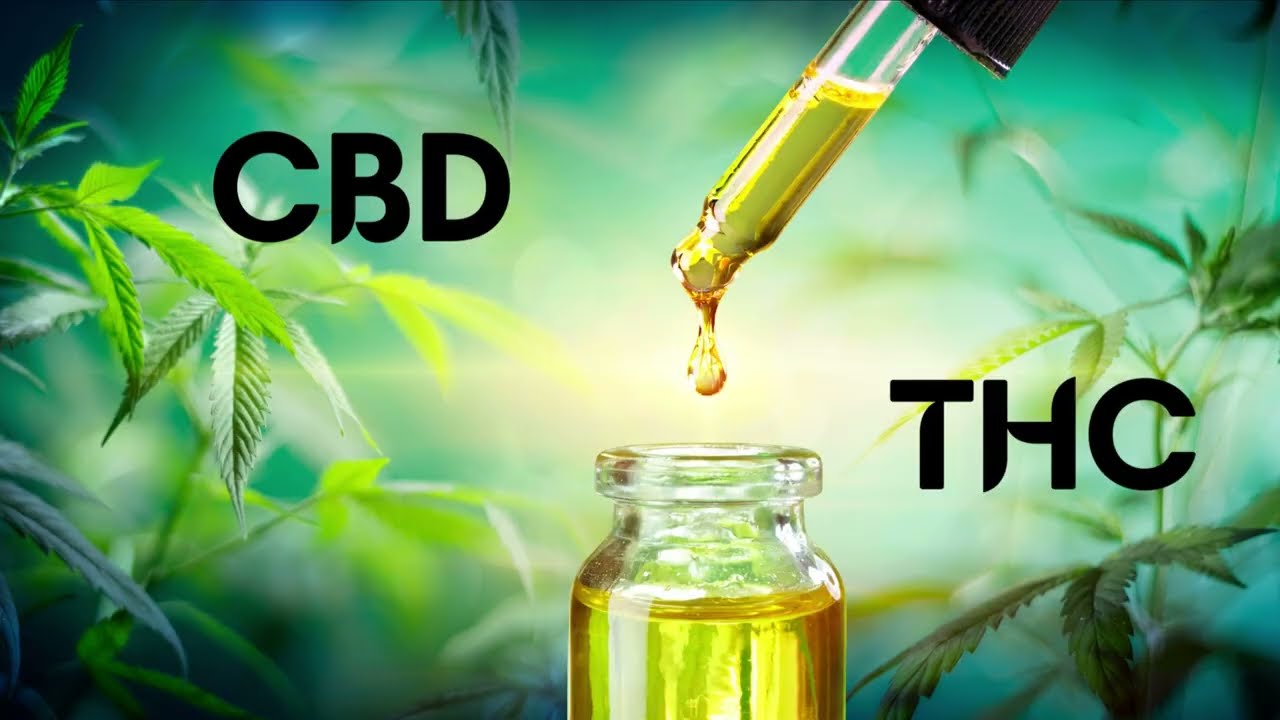 Are Hemp Leaves Healthy and Nutritious?
