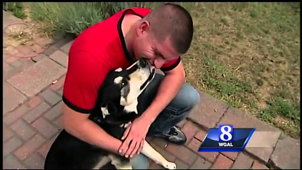 Soldier reunites with dog after year-long deployment