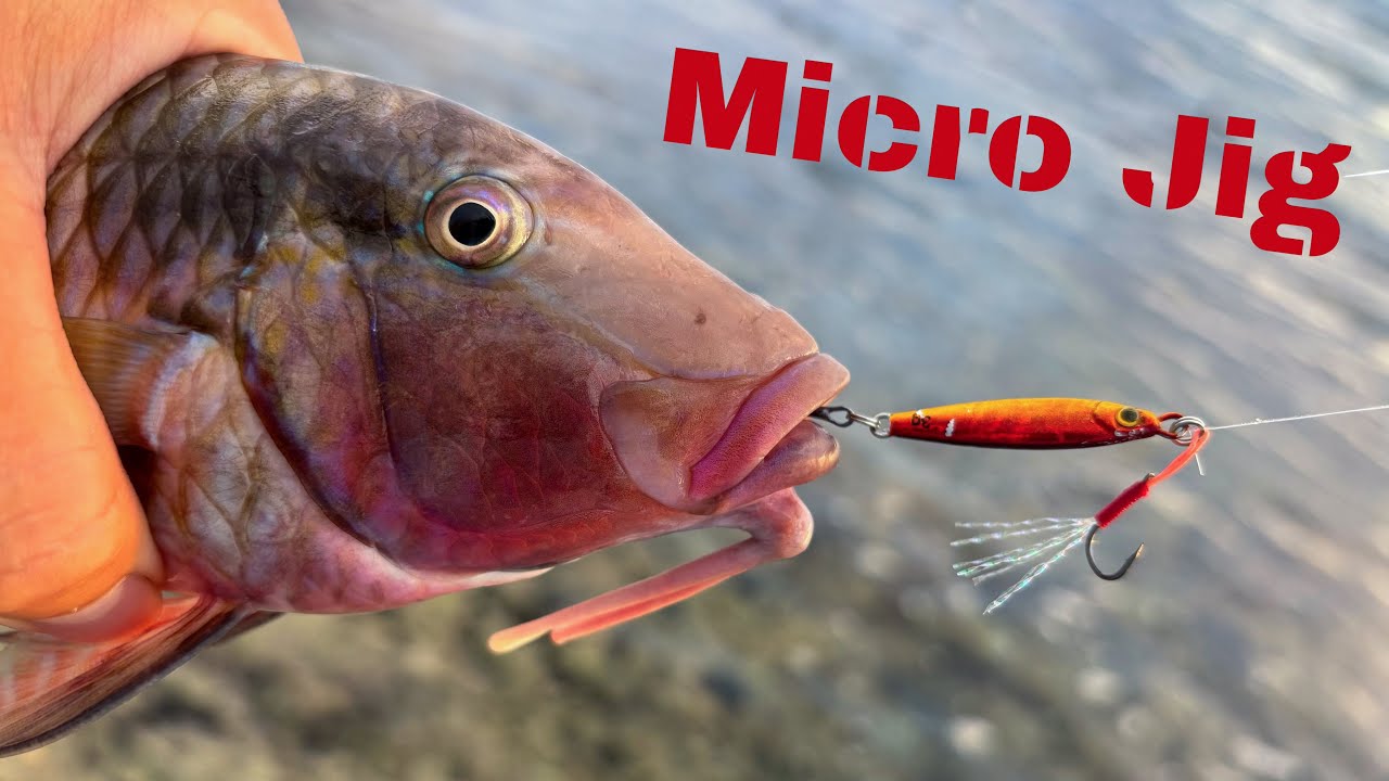 MICRO JIGGING ON THE REEF!  | Hawaii Fishing