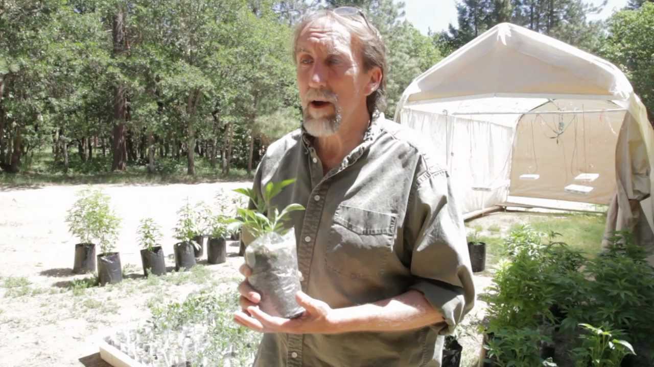 Medical marijuana grower James Bowman tours his Southern Oregon farm