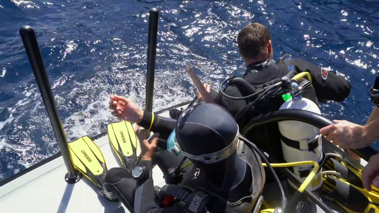 Waitt Expedition in the Azores with the Oceano Azul Foundation