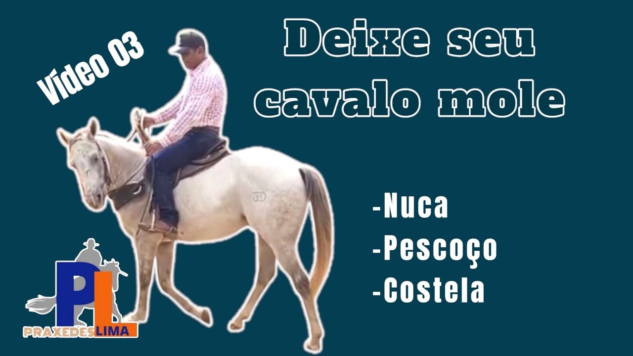 COMO FLEXIONAR CORRETAMENTE.