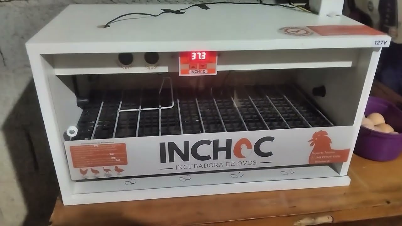 Chocadeira INCHOC, Não compre antes de ver este vídeo! #chocadeira #galinha 