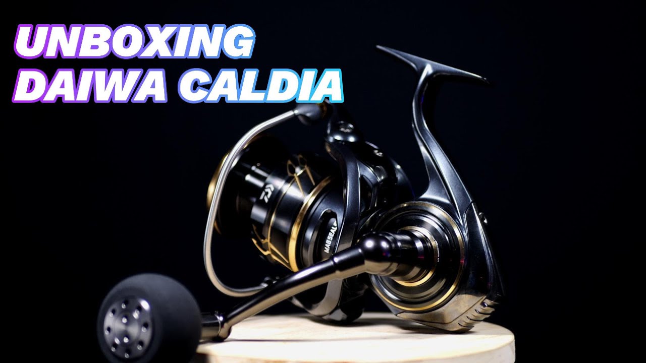 DAIWA CALDIA
