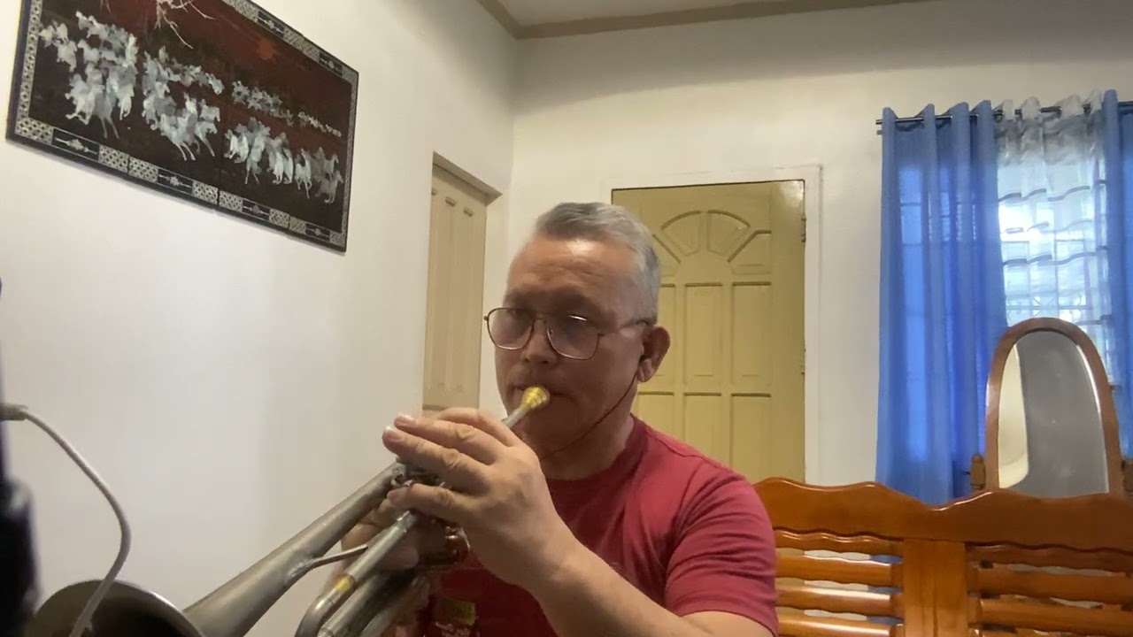 NATHALIE  - Julio Iglesias  (Trumpet) cover