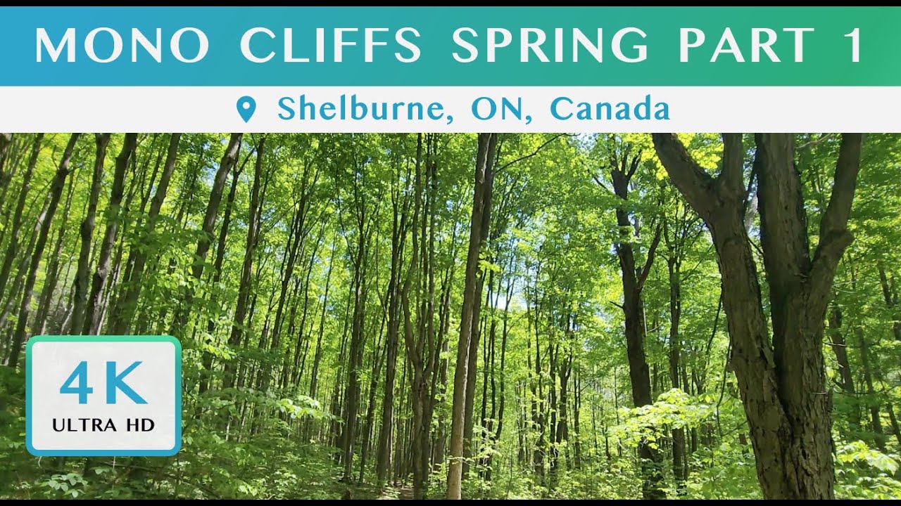 4K Virtual Nature Walk in Spring | Mono Cliffs Part 1 -  To the Pond We Go
