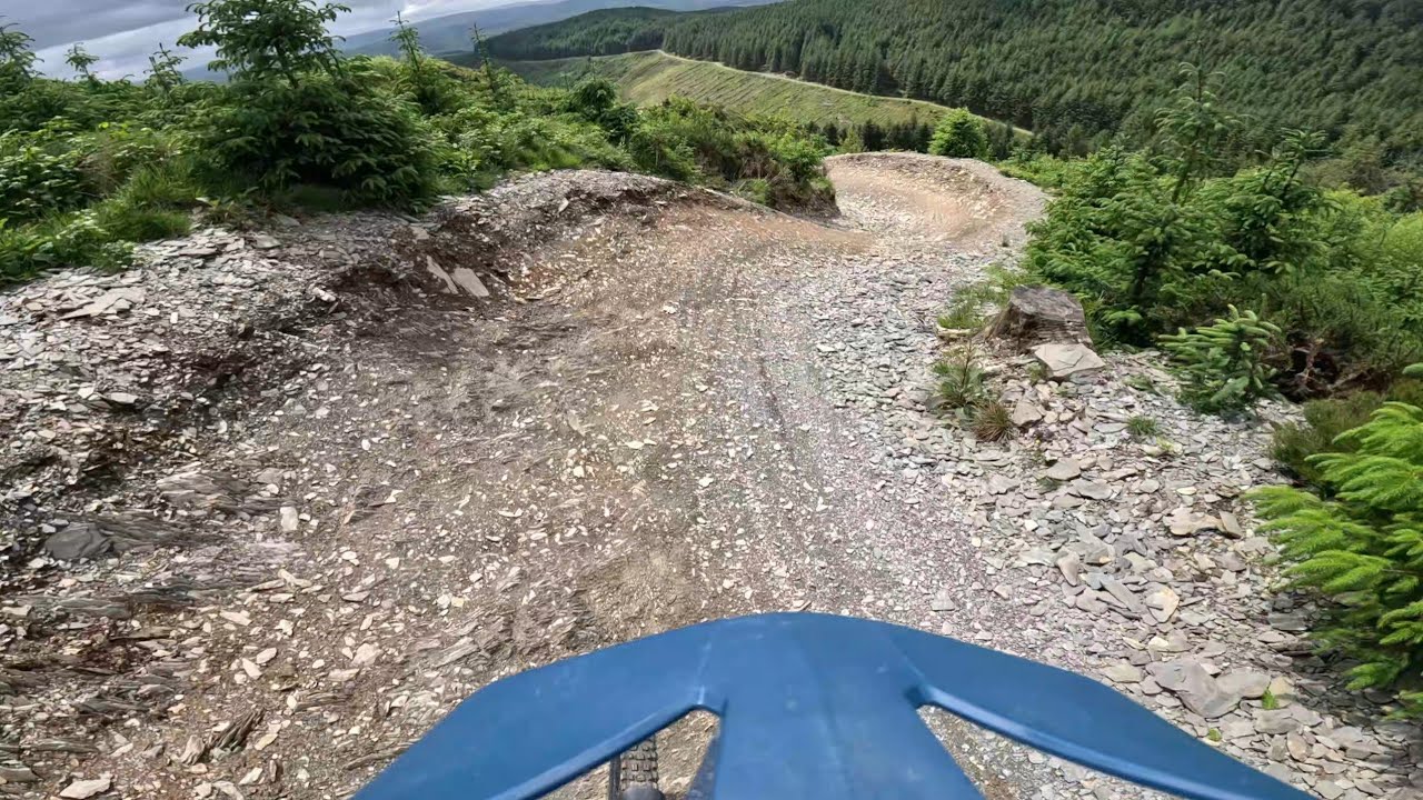 Dyfi Bikepark- Lovey Dyfi