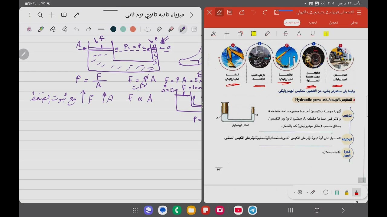 شرح درس قاعدة باسكال | تانية ثانوى الترم التانى
