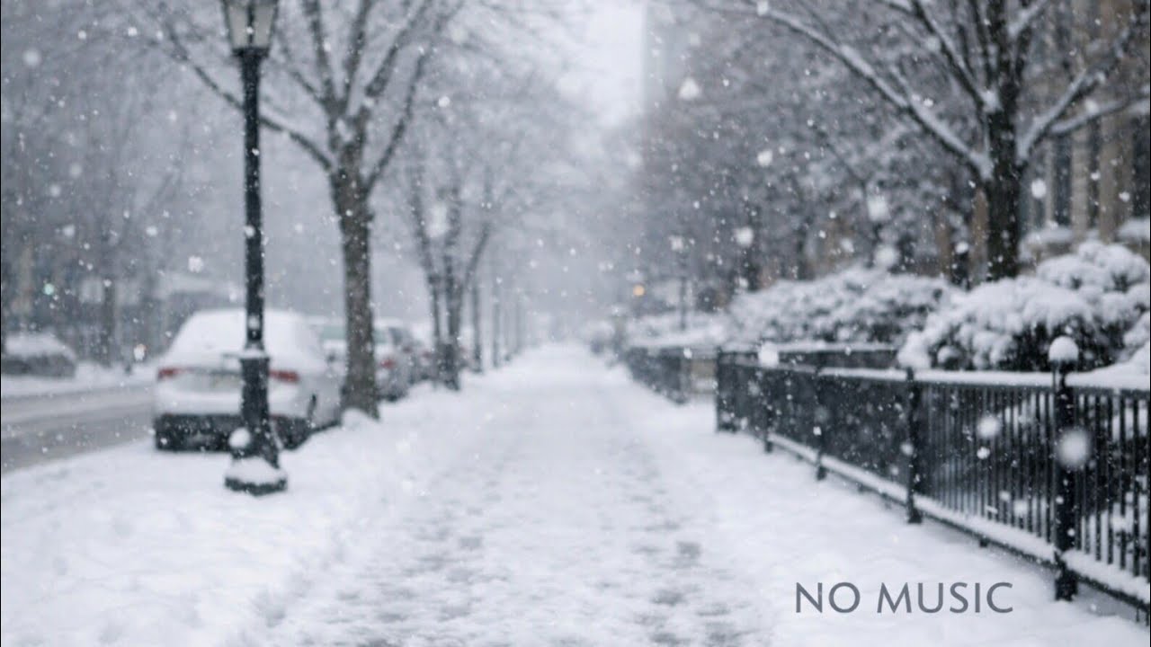 Silent Day Walk in Falling Snow | Urban Winter Ambience (No Music)