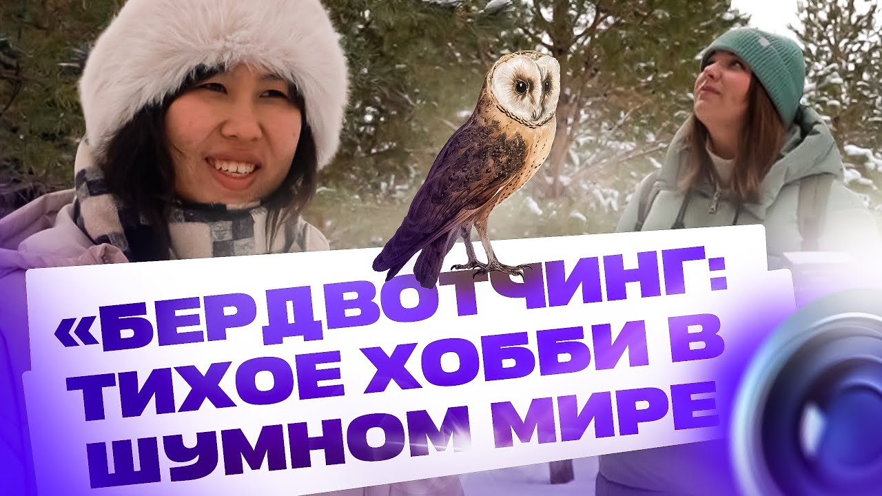 Бердвотчинг: тихое хобби в шумном мире