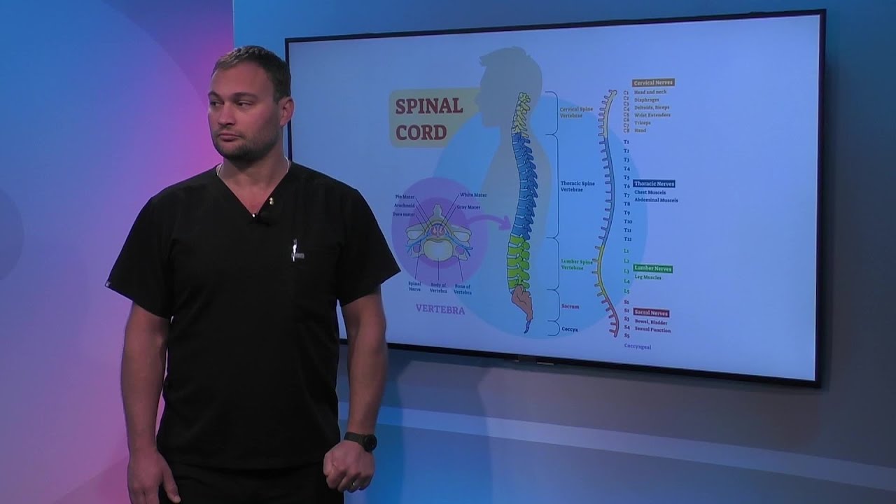 Function of the Thoracic Spine
