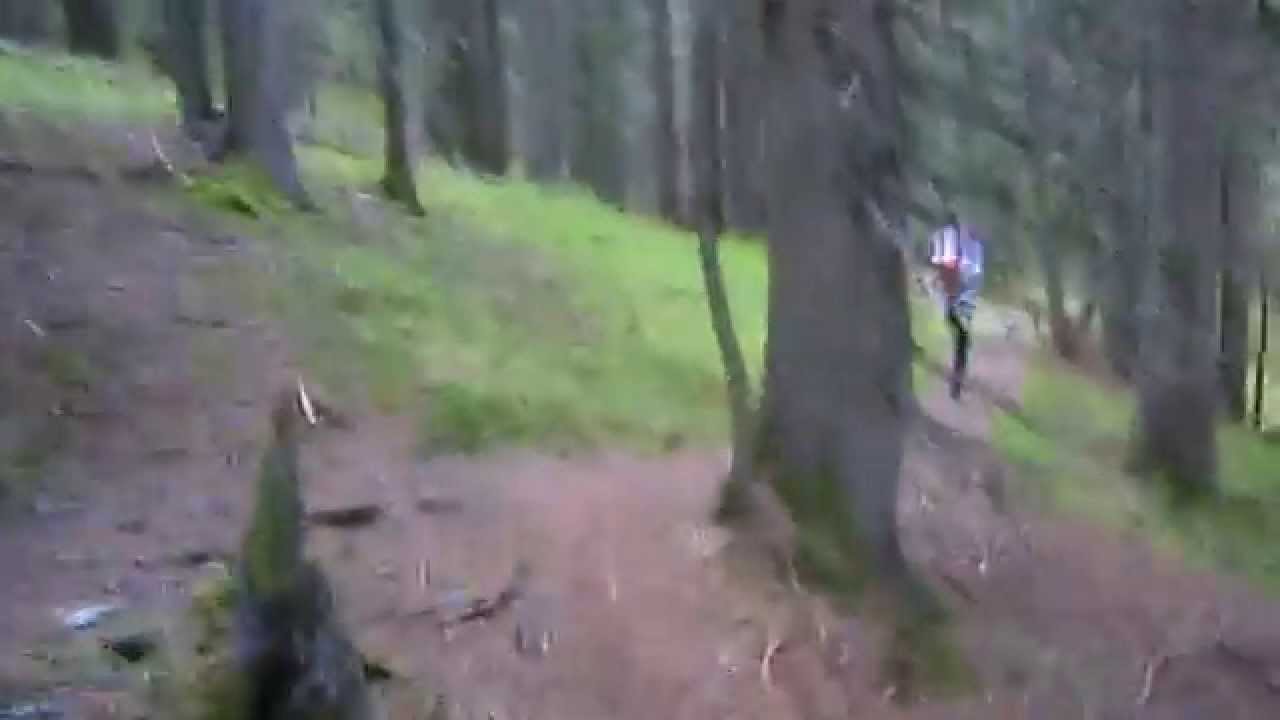 30.05.2015 Schwarzach Ultra Trail: Sch&ouml;nes Traillaufen