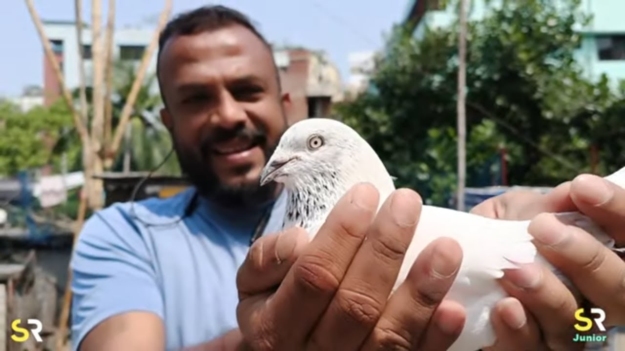 আমাদের আর্মি কবুতর 🐦