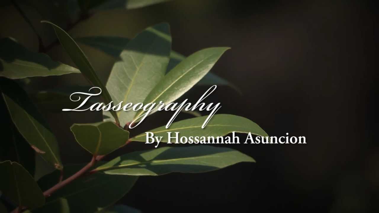 Tasseography - An Audio Poem at NYBG