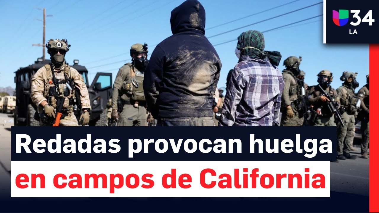 Jornaleros enfrentan redadas de ICE con huelga histórica: ¿Subirá el precio de alimentos?