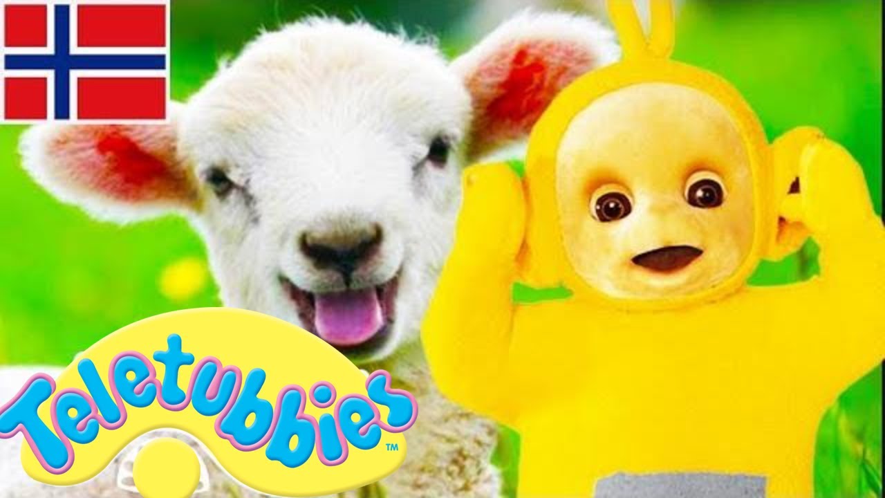 ☆ Teletubbiene på norsk ☆ hele episoden kompilering ☆ 1 time #65 ☆ Tegneserier for barn ☆